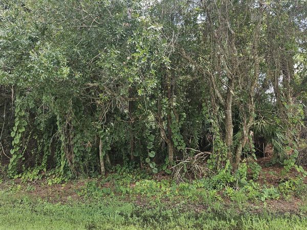1757 SW Day Street, Port St. Lucie, FL 34953