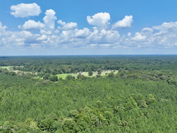 0000 Scr 563, Polkville, MS 39117