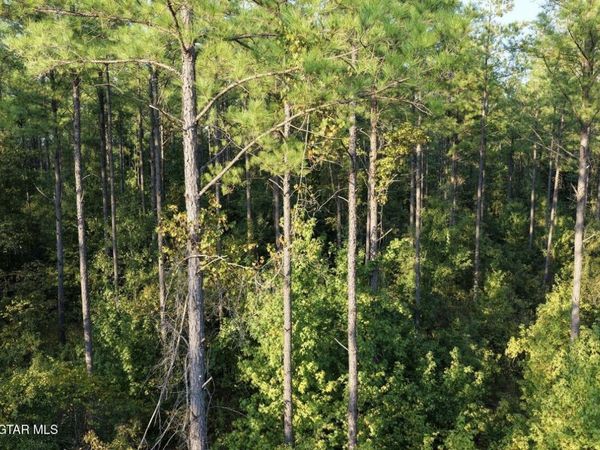 Harpole Road, Maben, MS 39750