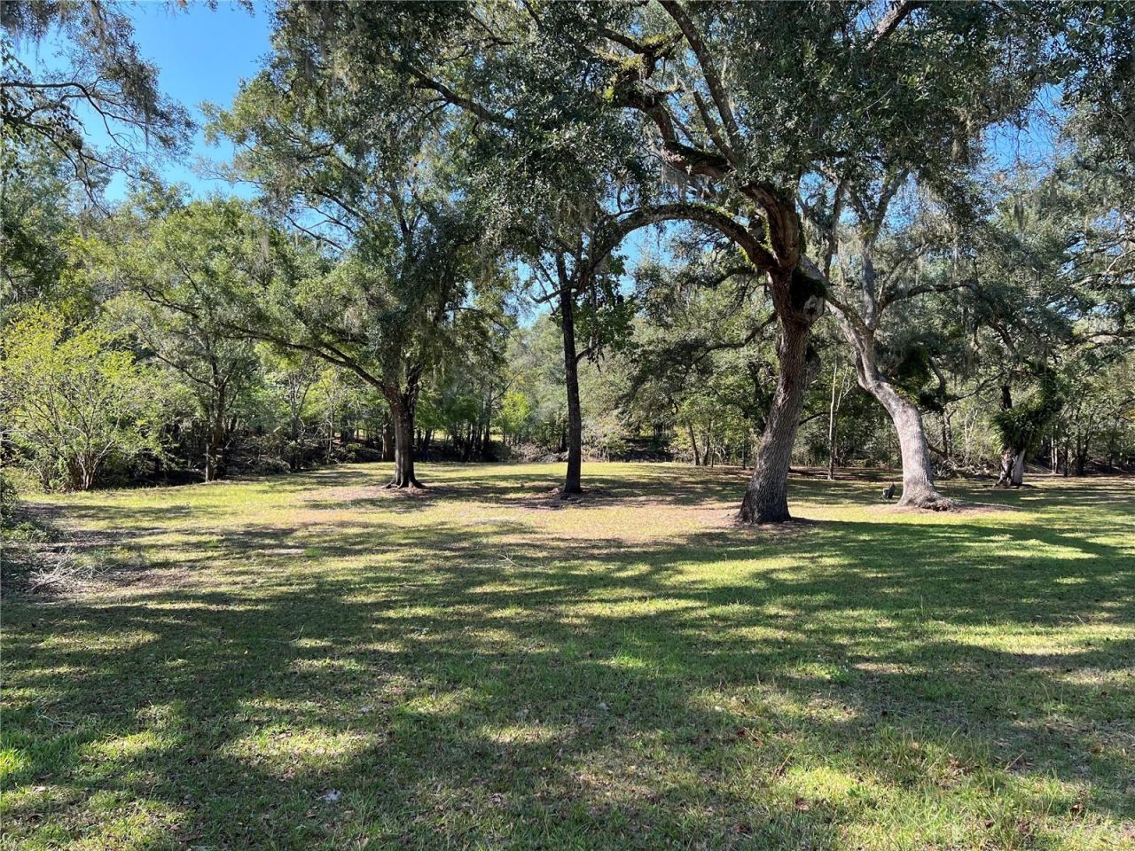 2099 SW 75th Avenue, Bell, FL 32619 Photo