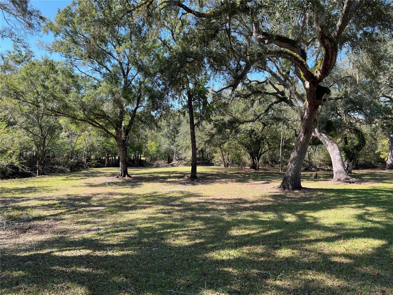 2099 SW 75th Avenue, Bell, FL 32619 Photo
