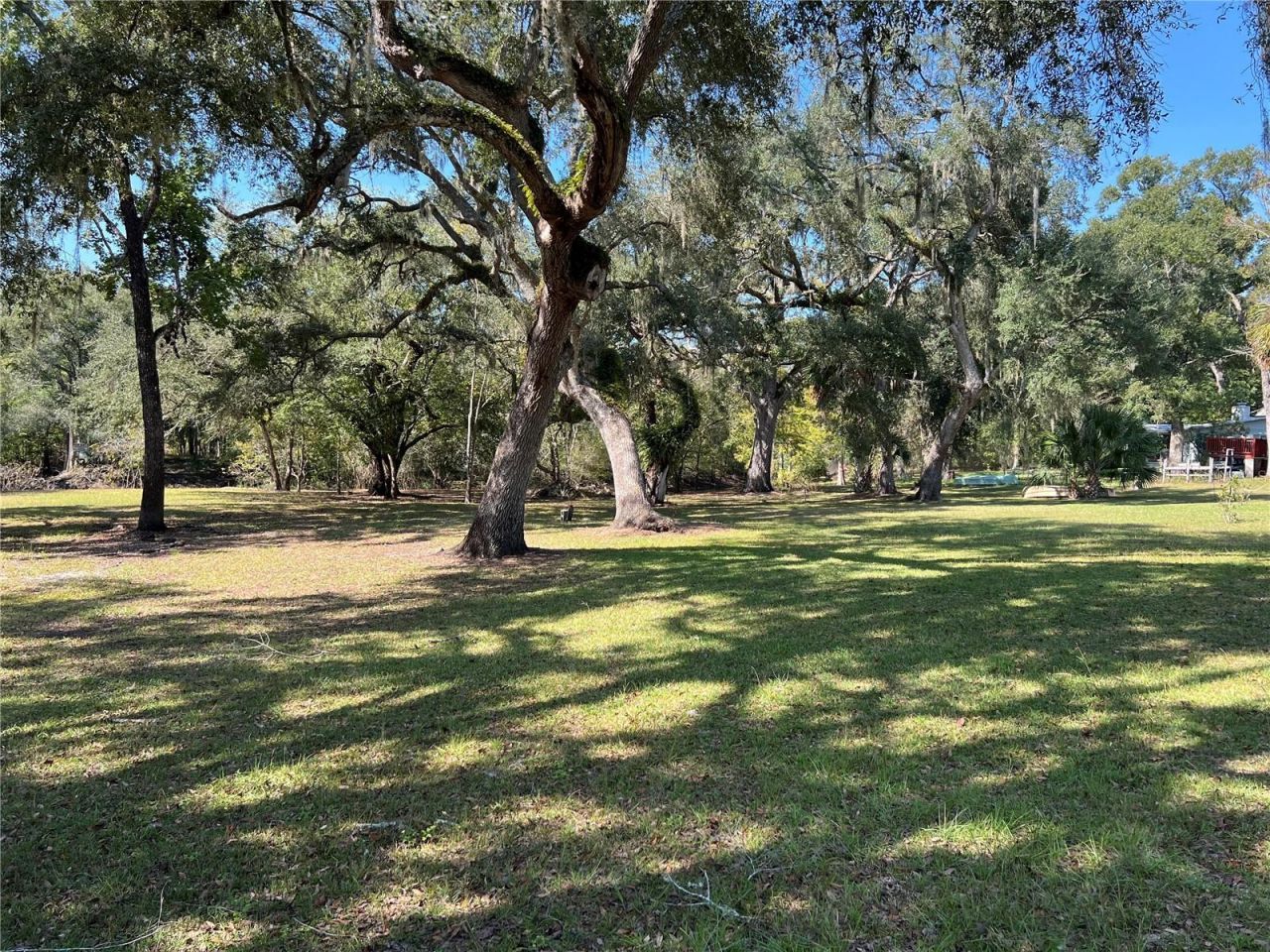 2099 SW 75th Avenue, Bell, FL 32619 Photo