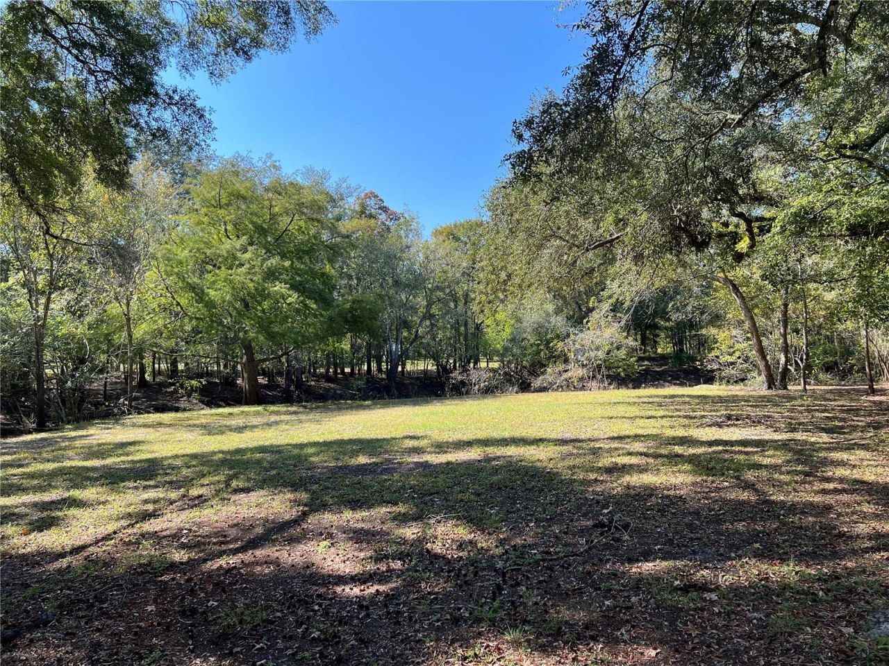 2099 SW 75th Avenue, Bell, FL 32619 Photo