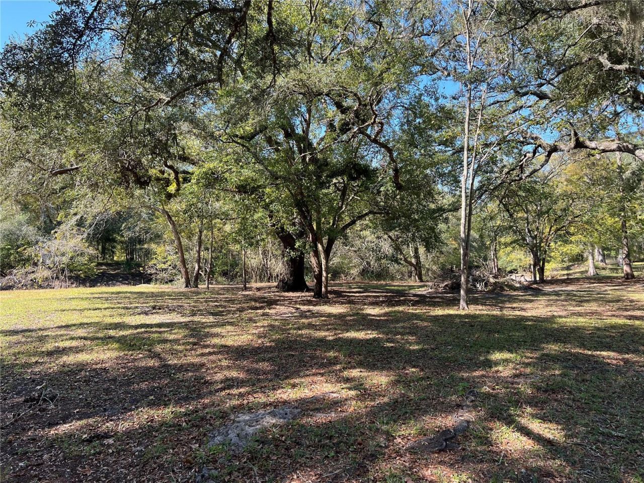 2099 SW 75th Avenue, Bell, FL 32619 Photo