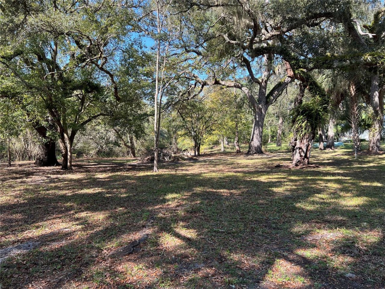 2099 SW 75th Avenue, Bell, FL 32619 Photo