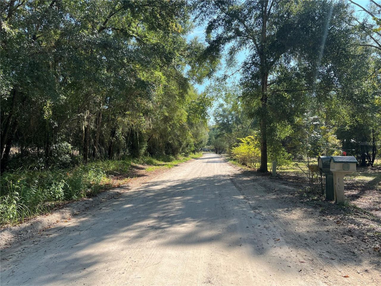 2099 SW 75th Avenue, Bell, FL 32619 Photo