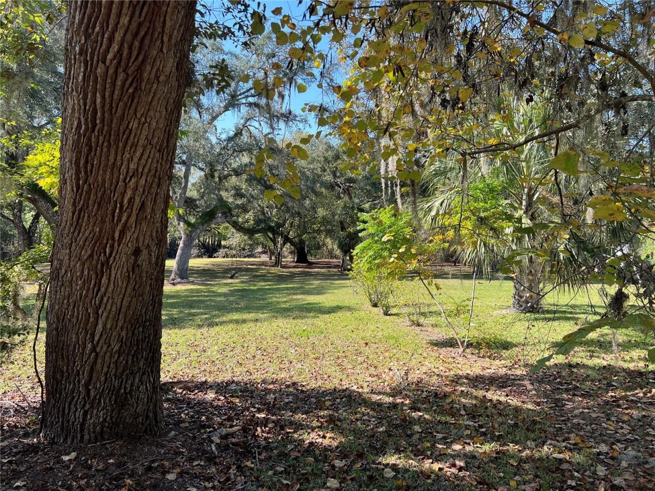 2099 SW 75th Avenue, Bell, FL 32619 Photo