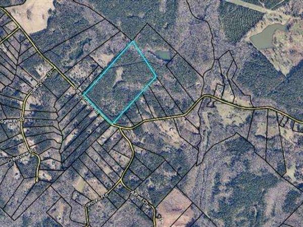 1458 Pitts Chapel Road, Newborn, GA 30056