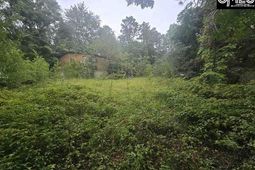 807a Laurel Road photo 4