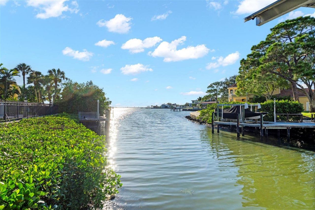 5215 W Neptune Way, Tampa, FL 33609 Photo