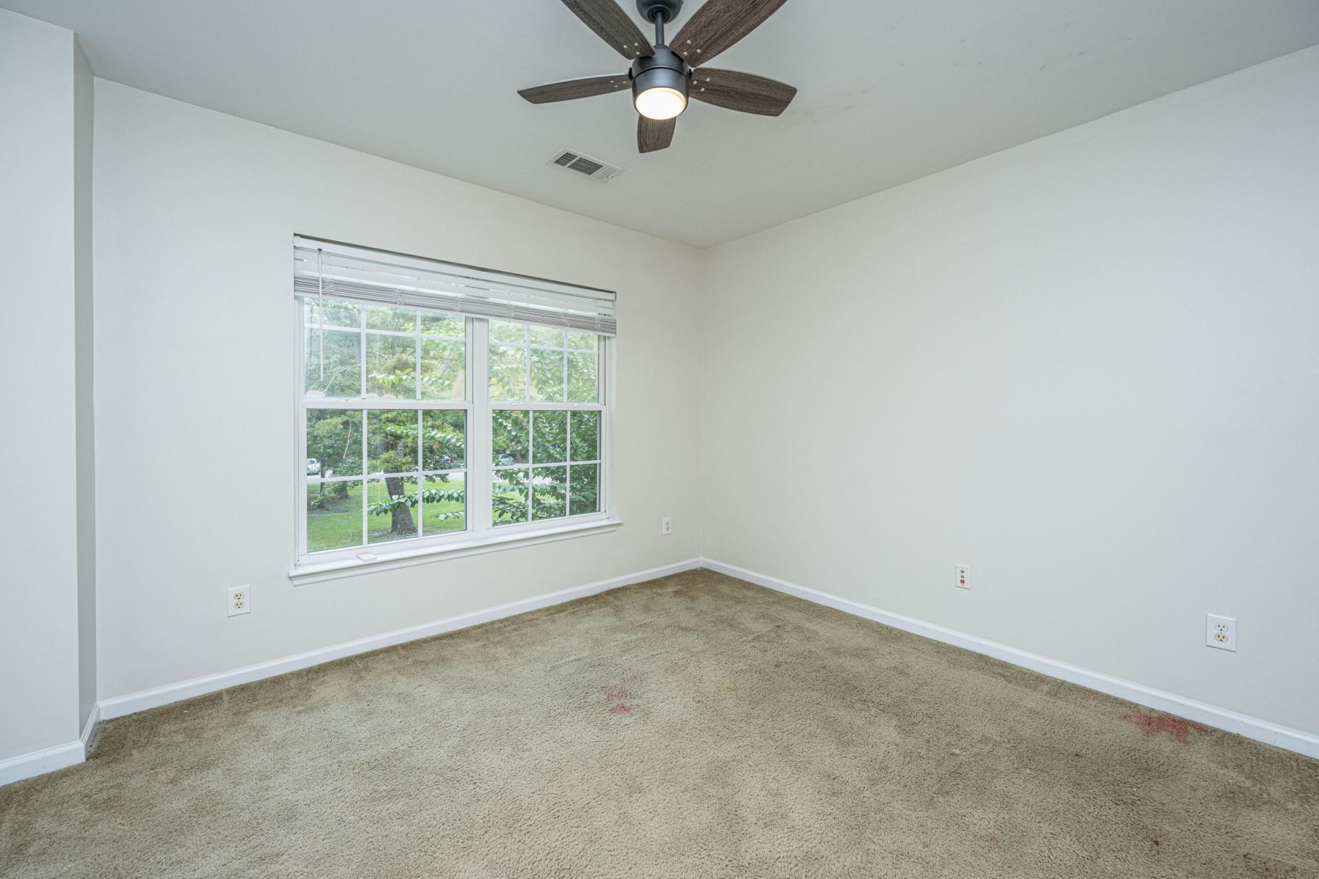 202 Twin Tree Drive Photo 15
