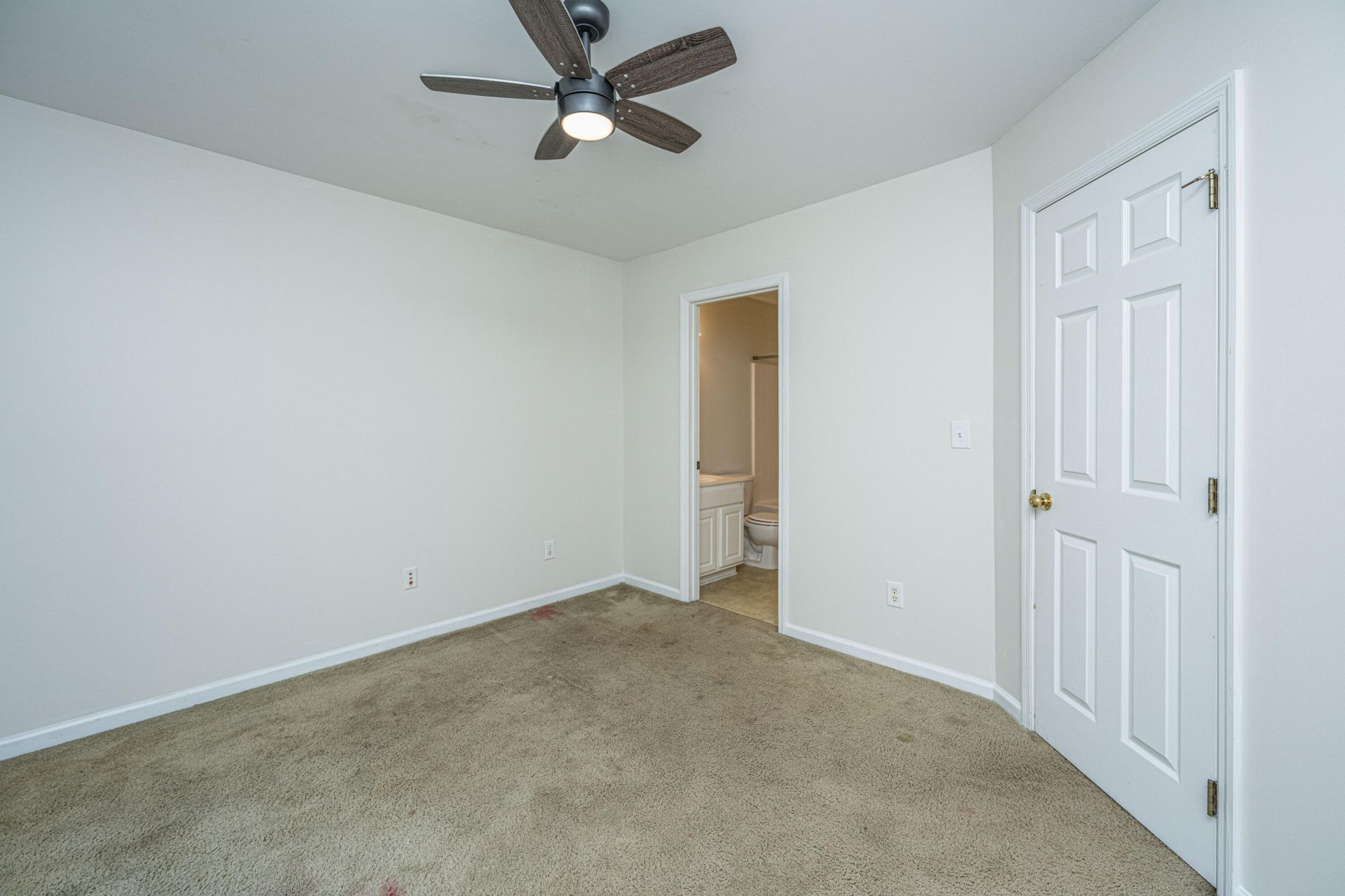 202 Twin Tree Drive Photo 23