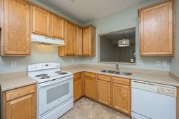 202 Twin Tree Drive photo 4