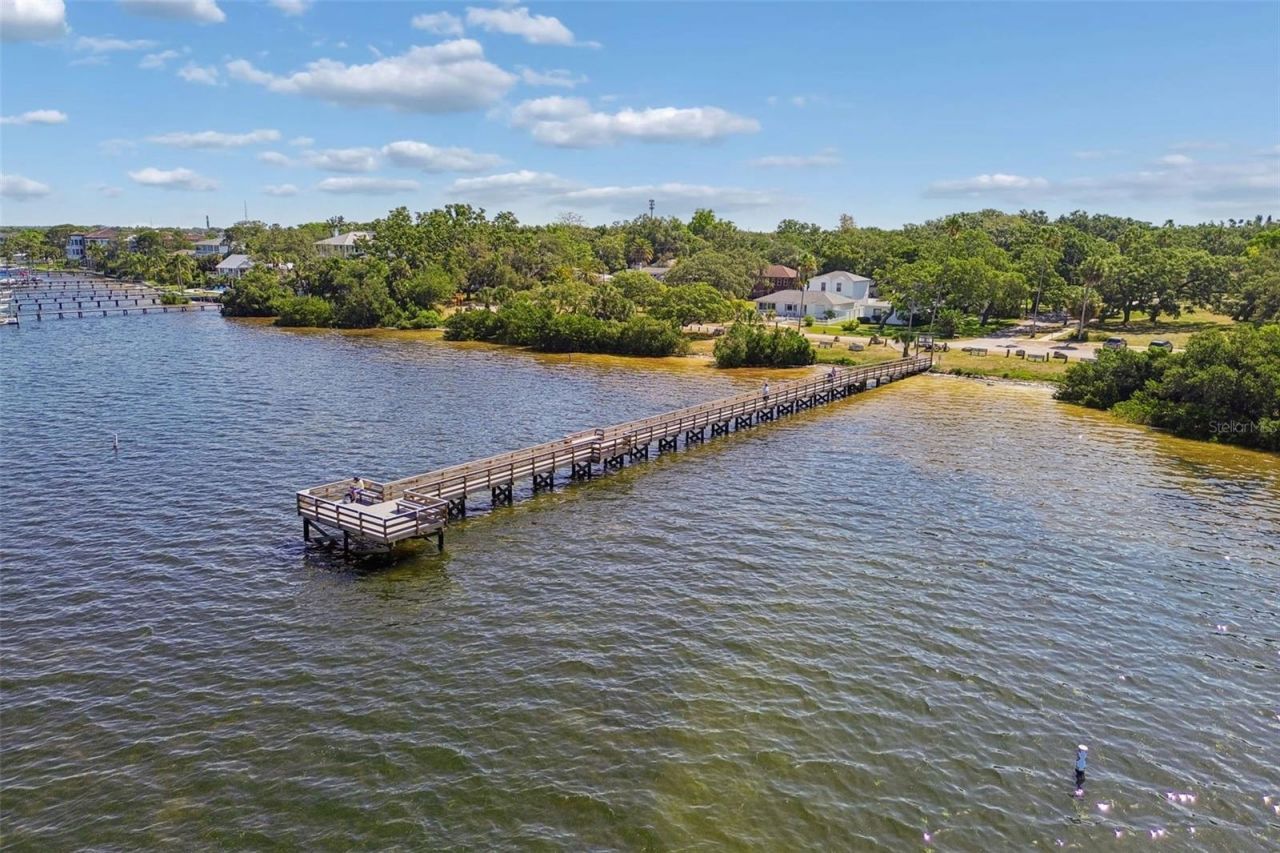 389 Georgia Avenue, Crystal Beach, FL 34681 Photo