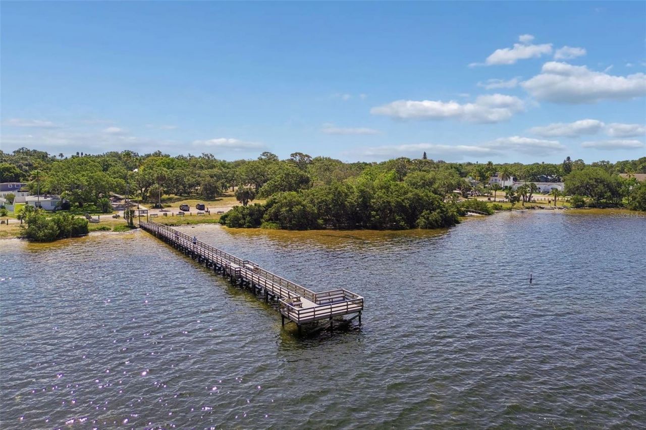 389 Georgia Avenue, Crystal Beach, FL 34681 Photo