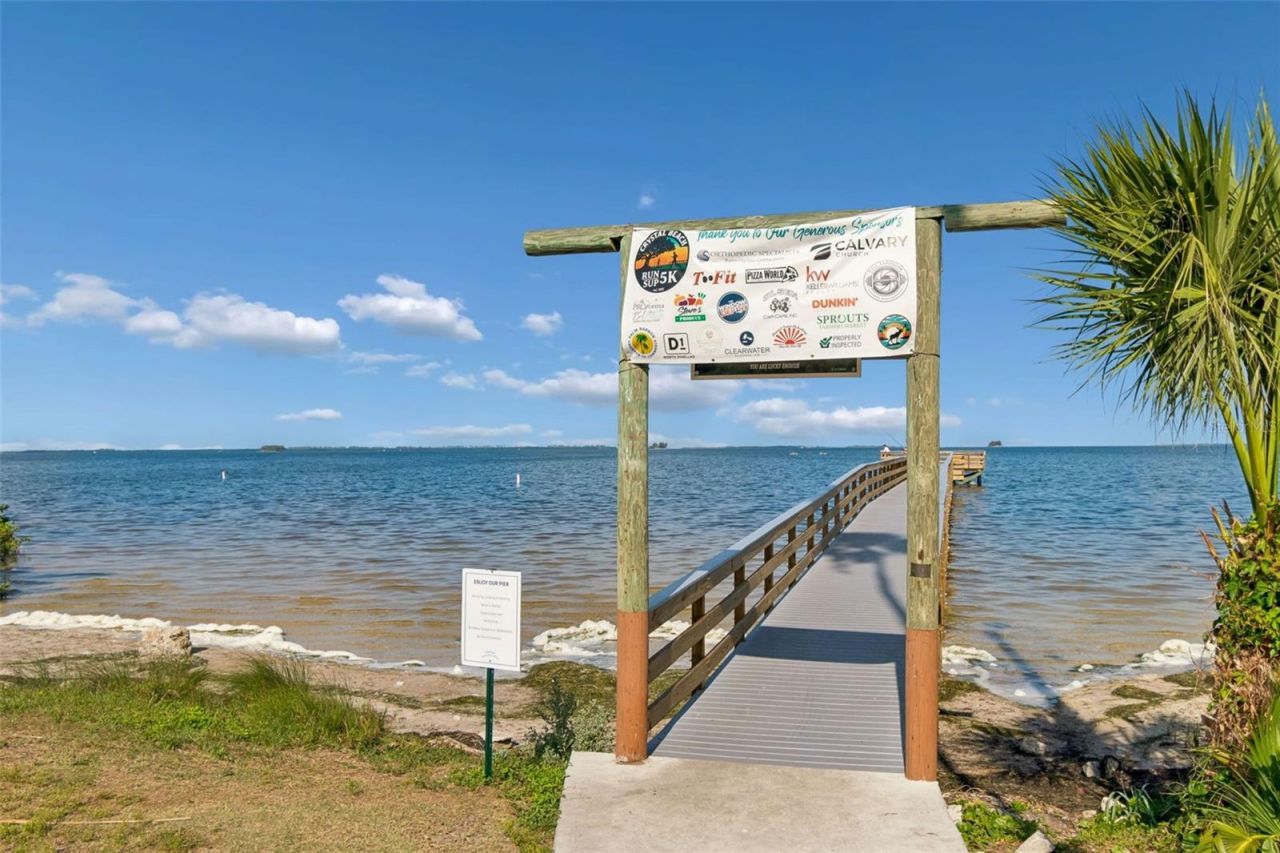 389 Georgia Avenue, Crystal Beach, FL 34681 Photo