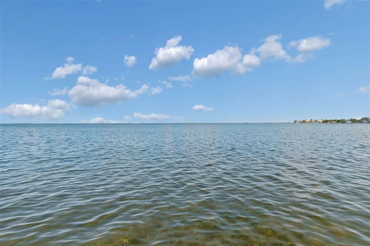389 Georgia Avenue, Crystal Beach, FL 34681 Photo