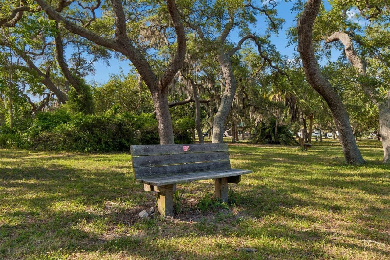 389 Georgia Avenue, Crystal Beach, FL 34681 Photo