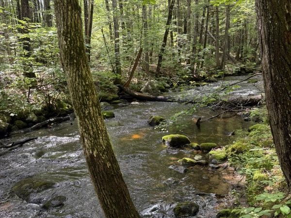 Lot 44 Rolfe Road , Harrison, ME 04040
