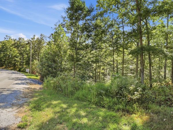 845 Ridgewood Drive, Unit 17, Mc Ewen, TN 37101