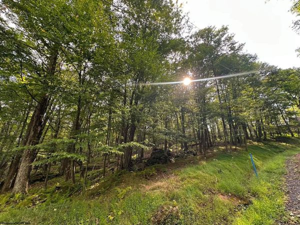 Lots 53/54 Goldenrod Drive, Terra Alta, WV 26764
