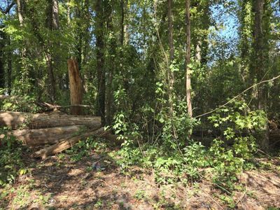 0 Nance Street, Orangeburg, SC 29115