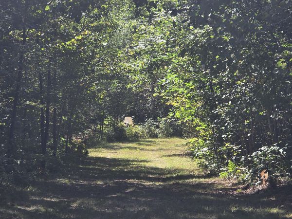 2130 N Foothill Drive, Barton City, MI 48705