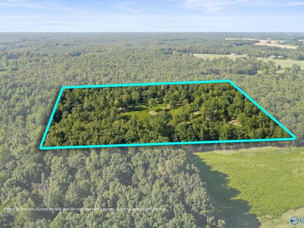 1485 County Road 485, Lexington, AL 35648