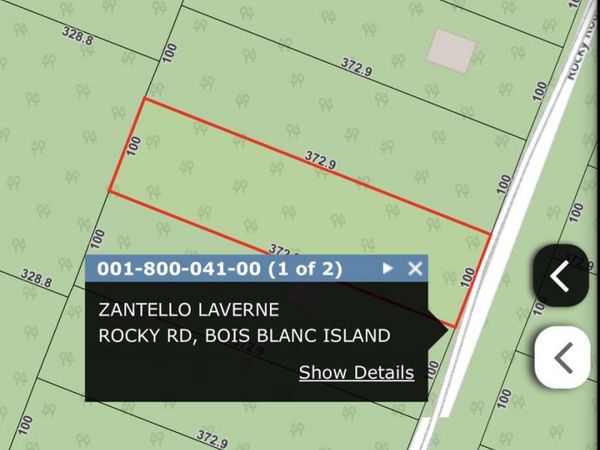 44 Rocky RD, Bois Blanc, MI 49775