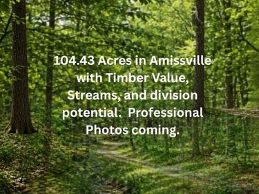 HOLLY SPRINGS ROAD , AMISSVILLE, VA 20106