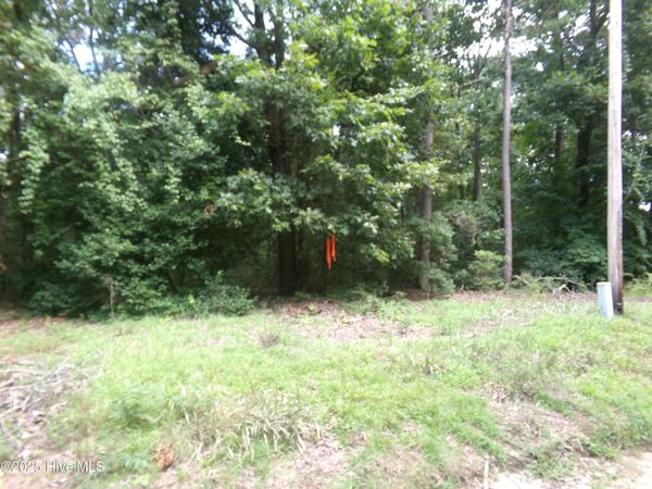 Lot 37 Plantation Road , Elizabethtown, NC 28337