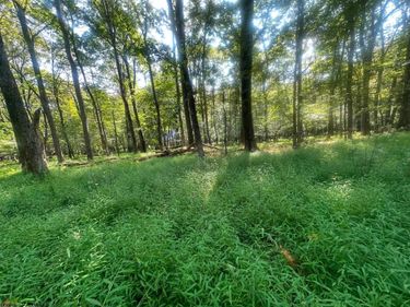 Lot 163 Anemone Lane, Terra Alta, WV 26764