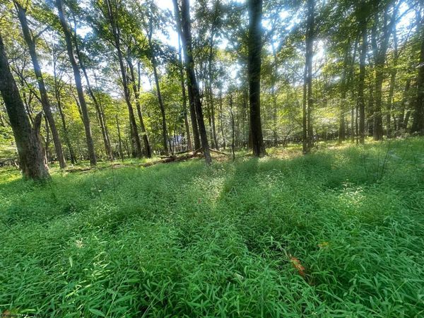 Lot 163 Anemone Lane, Terra Alta, WV 26764