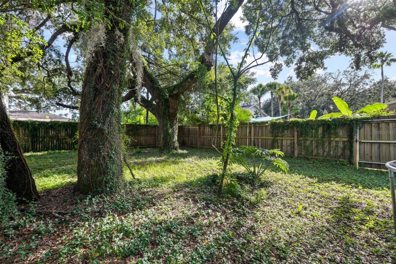 10908 Gillette Avenue, Temple Terrace, FL 33617 Photo