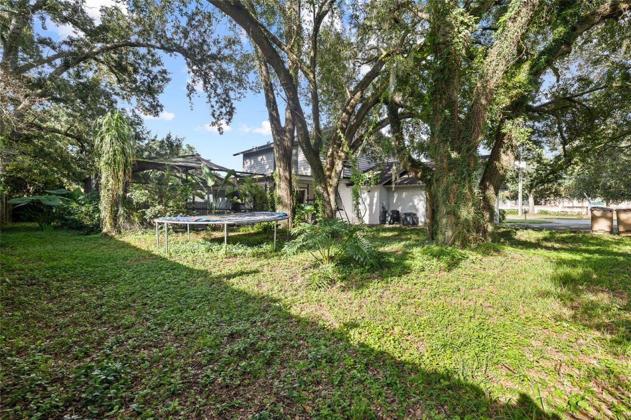 10908 Gillette Avenue, Temple Terrace, FL 33617 Photo