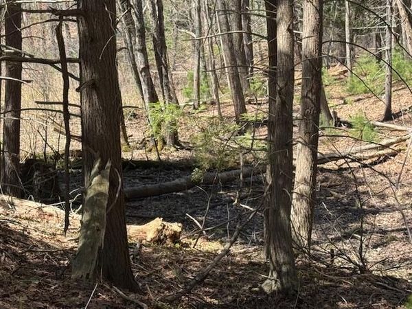 Lot 14 Bartlett Road , Kittery, ME 03905