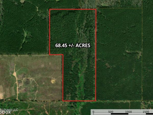 Ratliff Ferry Road, Canton, MS 39046