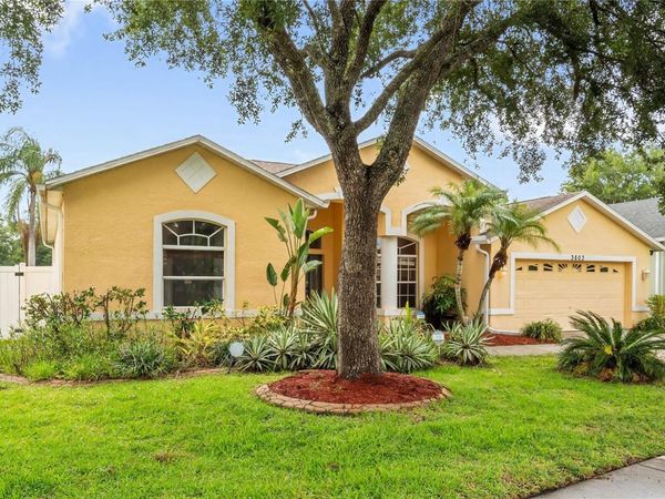 3803 GRAND FORKS DRIVE , LAND O LAKES, FL 34639
