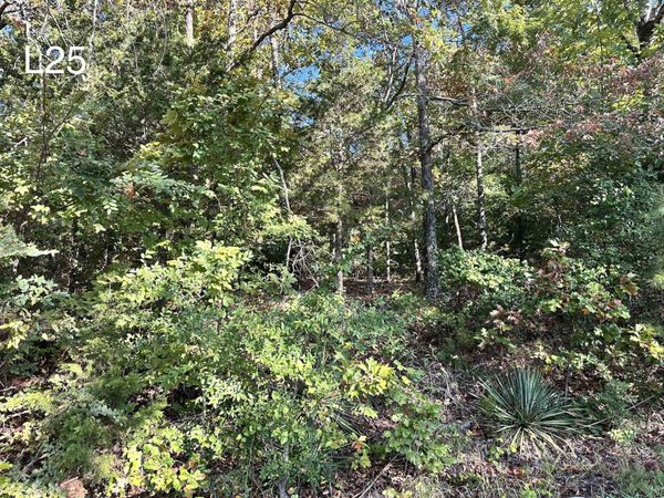 TBD Enid Dr Drive, Cherokee Village, AR 72529