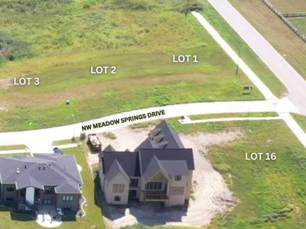 12088 Meadow Sprngs Drive , Johnston, IA 50131