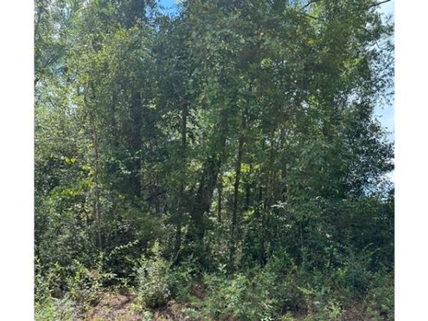 TBD SW 44TH LANE, Jasper, FL 32052