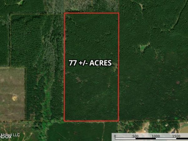 Ratliff Ferry Road, Canton, MS 39046