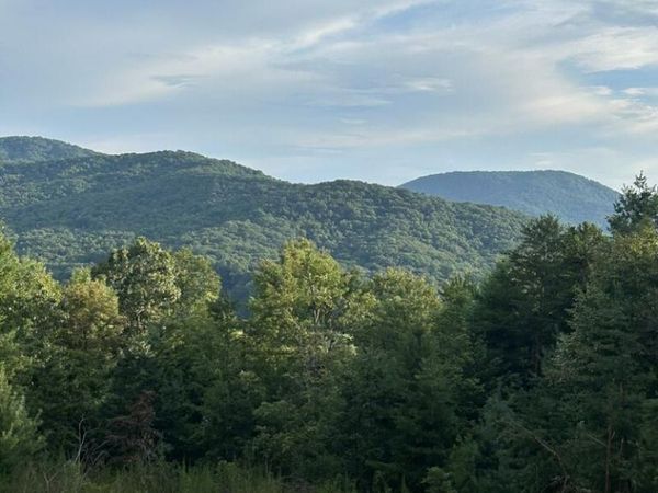 Morganton, GA 30560