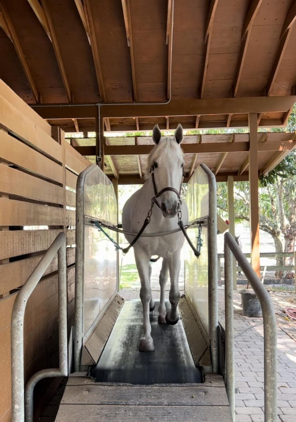 1711 Stallion Drive, Unit Barn and A, The Acreage, FL 33470 Photo
