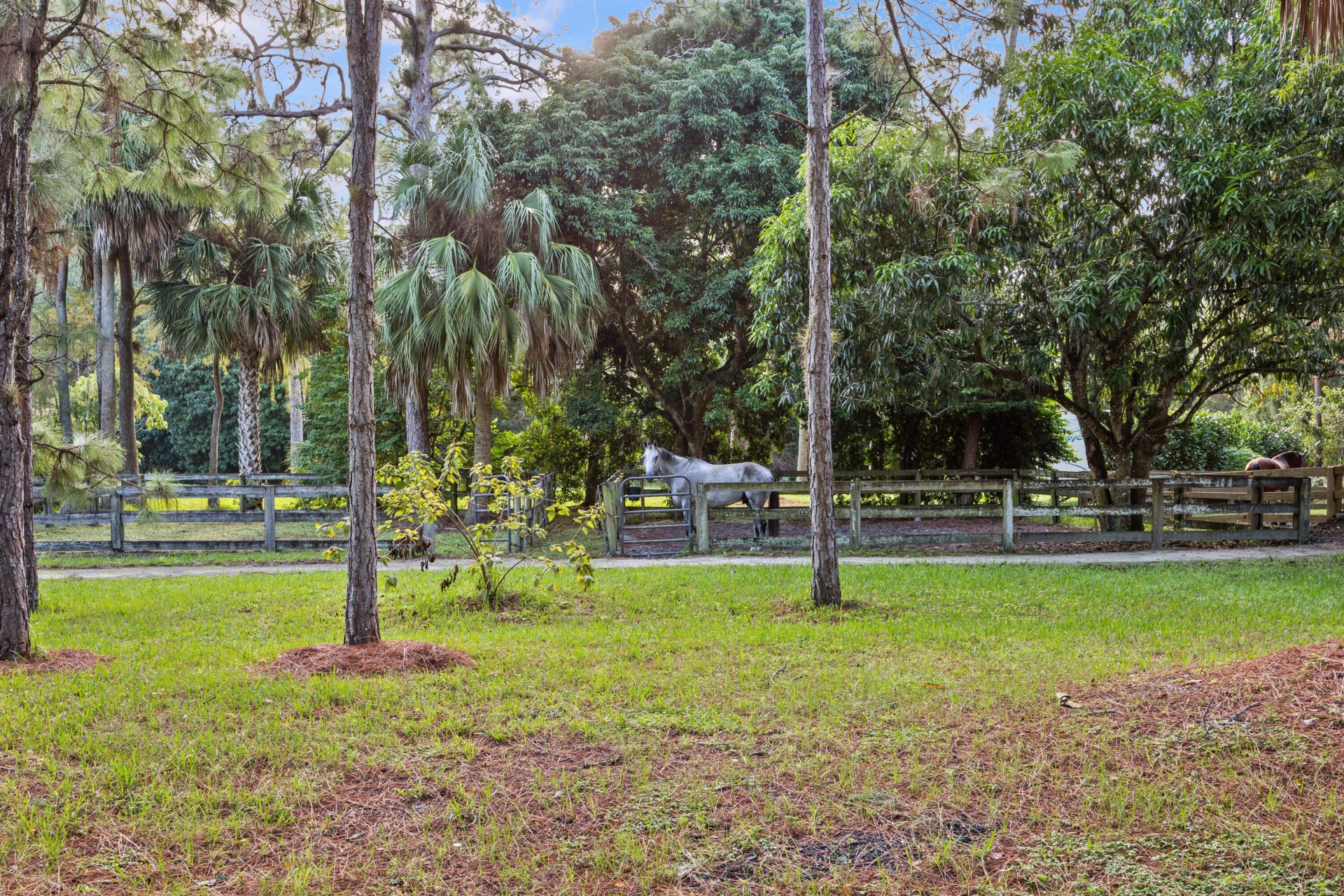 1711 Stallion Drive, Unit Barn and A, The Acreage, FL 33470 Photo