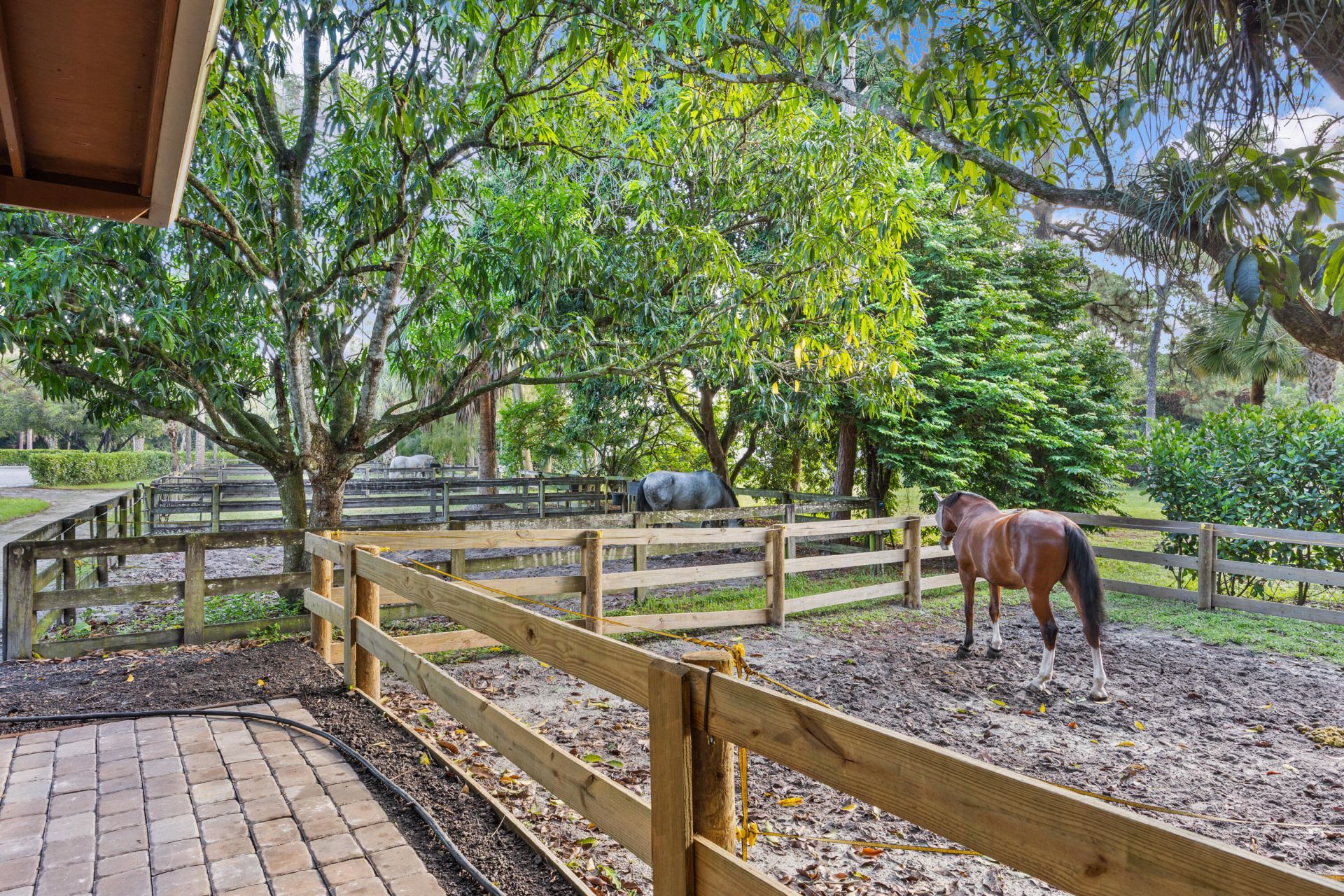 1711 Stallion Drive, Unit Barn and A, The Acreage, FL 33470 Photo
