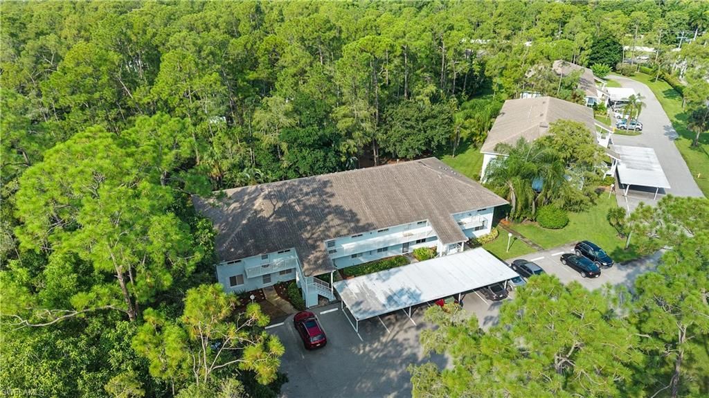 3451 County Barn Rd, Unit 203, Naples, FL 34112 Photo