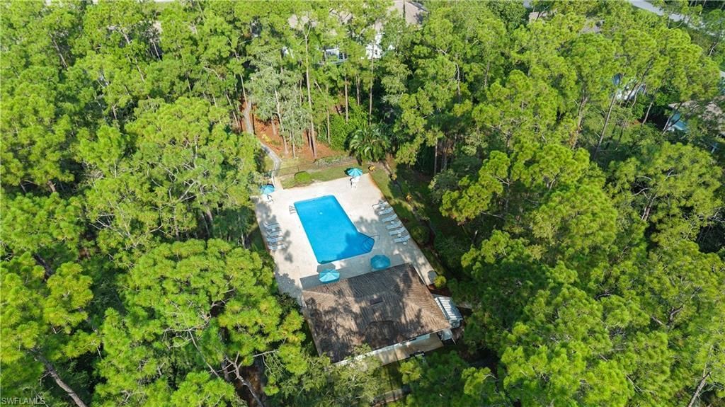 3451 County Barn Rd, Unit 203, Naples, FL 34112 Photo