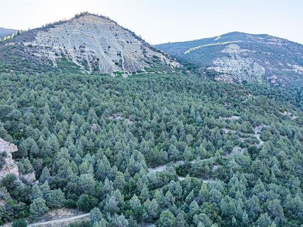 TBD Hubbard Creek, Paonia, CO 81428