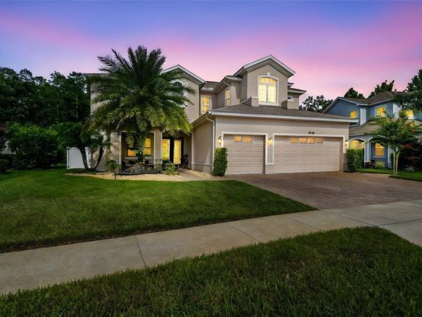 8542 EAGLE BROOK DRIVE , LAND O LAKES, FL 34638